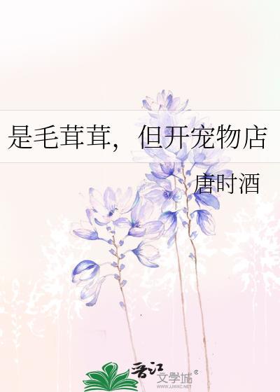 是毛茸茸但开宠物店讲的什么
