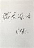 藏匿爱意剧情深度解析