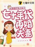七十年代再婚夫妻全文阅读