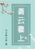 青云妻上封上上