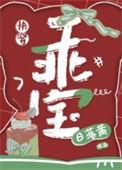 乖宝是什么