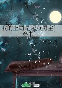 我的上司是什么意思