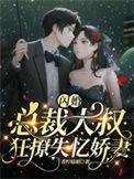 闪婚大叔宠妻不止