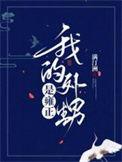 我的外甥是雍正 满汀洲讲什么
