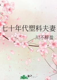 七零年代塑料夫妻免费