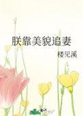 朕靠美貌坐稳天下txt