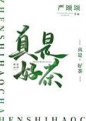真是好茶免费阅读