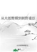 从夫郎赘婿到朝野重臣txt