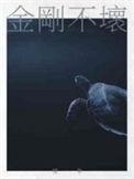 电影金刚不坏