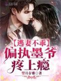 逃妻不乖偏执墨爷