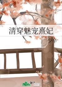 清穿魅宠熹妃少辛免费阅读