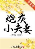 炮灰小夫郎张三