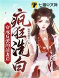 穿成反派的前妻第二人格