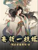 妄折一枝妩女主生二胎了吗