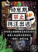 幼崽期禁止携汪出逃 元赞