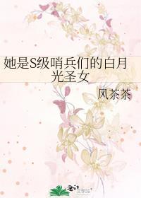 她是S级哨兵们的白月光圣女有哪几位男主