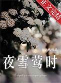 夜雪莺时先婚后爱妄云栖