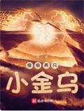 偷偷养只小金乌精校版txt