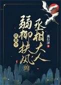 朕那个弱柳扶风的丞相大人讲了什么