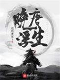 晚唐浮生无防盗章节