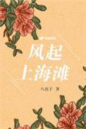 风起上海滩完整版