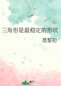 三角形是最稳定的形状_墨黎初