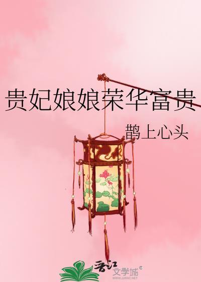 贵妃娘娘什么地位