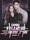重生八零我让老婆三年抱了俩