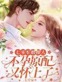 七零军婚这个女同志太优秀了得升职