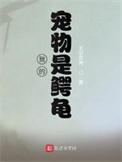 我的宠物是鳄龟全本