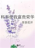 科举使我荣华沈佑