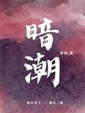 暗潮缉凶石强锋是谁的儿子