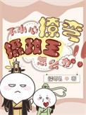 不小心撩弯了摄政王怎么办讲了什么