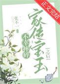 宝玉摔玉有什么含义