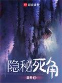 隐秘死角全文TXT奇书网