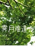 霁月难逢by子鹿免费阅读