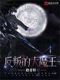 反叛的大魔王几个老婆