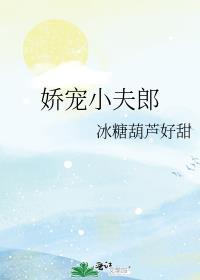 娇宠小公子(女尊)