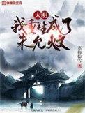 大明我重生成了朱允炆寒梅惊雪txt