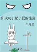 你成功引起我的注意什么意思