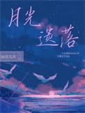 月光遗落作者问君几许txt