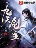 九天剑主白夜免费阅读