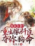 重生宠妾进阶录全集