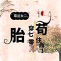 胎穿七十年代福气