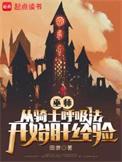 巫师世界里的骑士