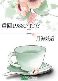 重回1988之IT女王23章