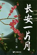 长安一片月打一字答案
