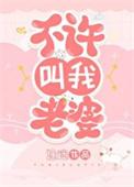 不许叫我老婆晋江