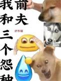 我的三个前夫电影