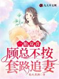 一胎双宝总裁爹地太卖力顾西城